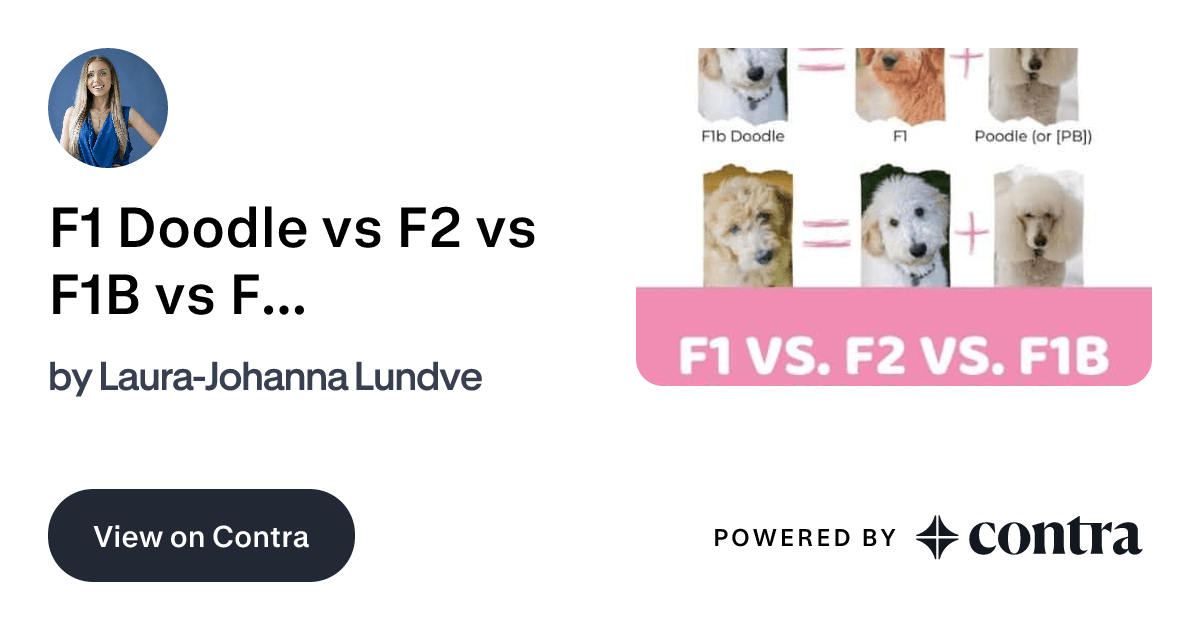 F1 Doodle vs F2 vs F1B vs F2B Generations Explained + Infograp… by