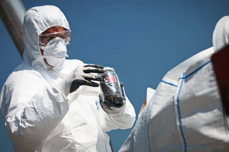 Asbestos Siding Safe/Dangerous? Identifying it, Removal Cost & More