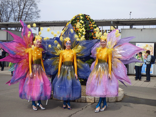 egapark Erfurt Contraire