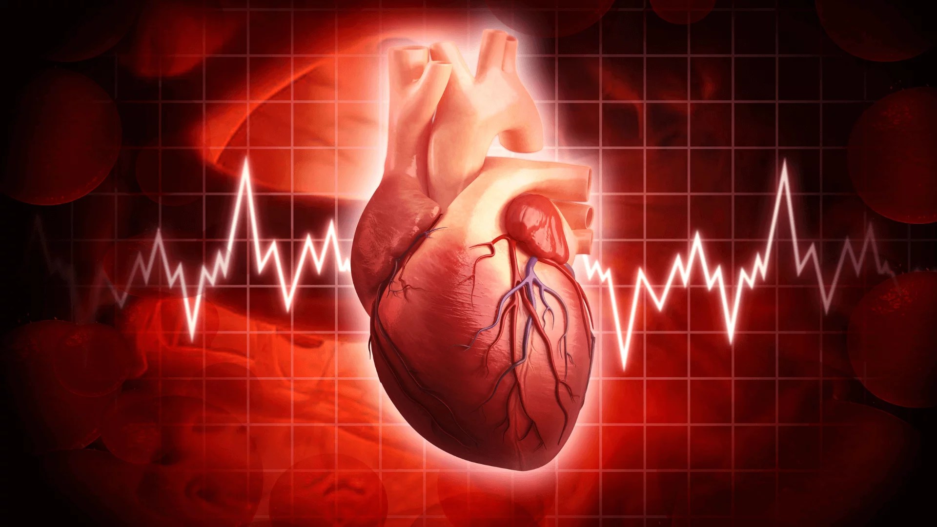 Elevated Heart Rate Exploring Triggers and Solutions