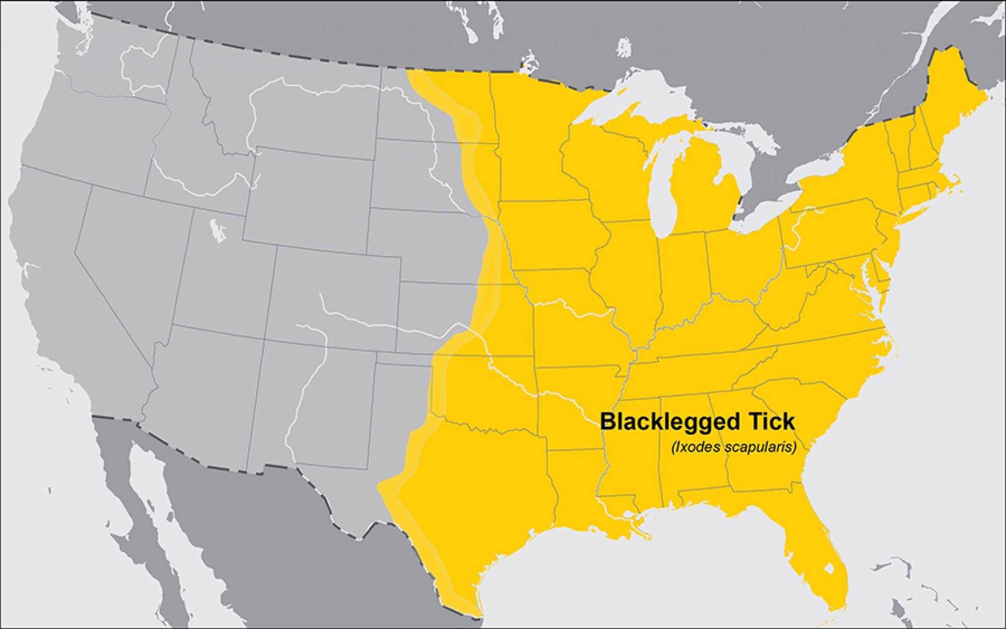 Are there ticks in Colorado? The Tick and Mosquito Project