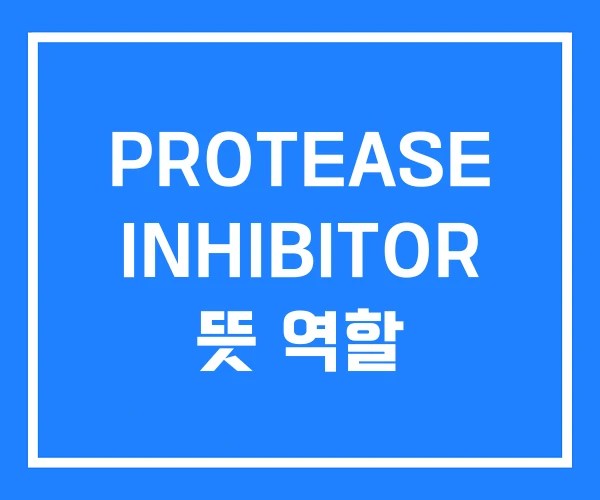 PROTEASE INHIBITOR 뜻 역할