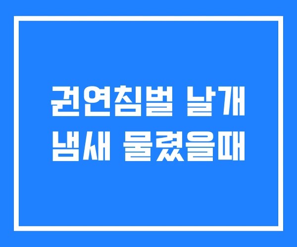 권연침벌 날개 냄새 물렸을때