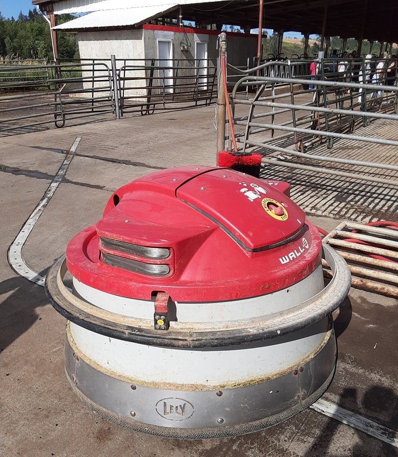 Life on the Farm Cleaning Stalls, Milking Cows, and… Robots