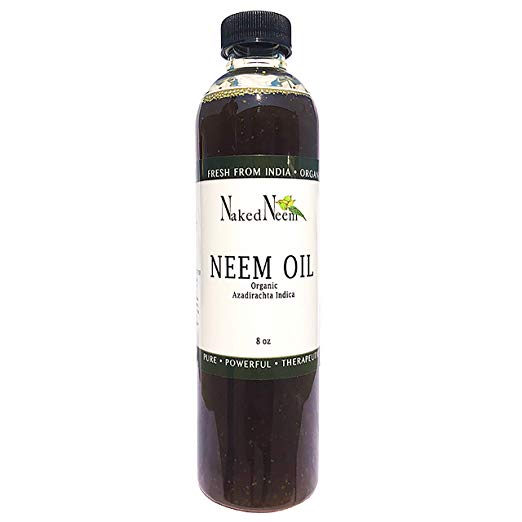 HOW TO KILL BED BUGS WITH CHEMICALS CONTROL BED BUG