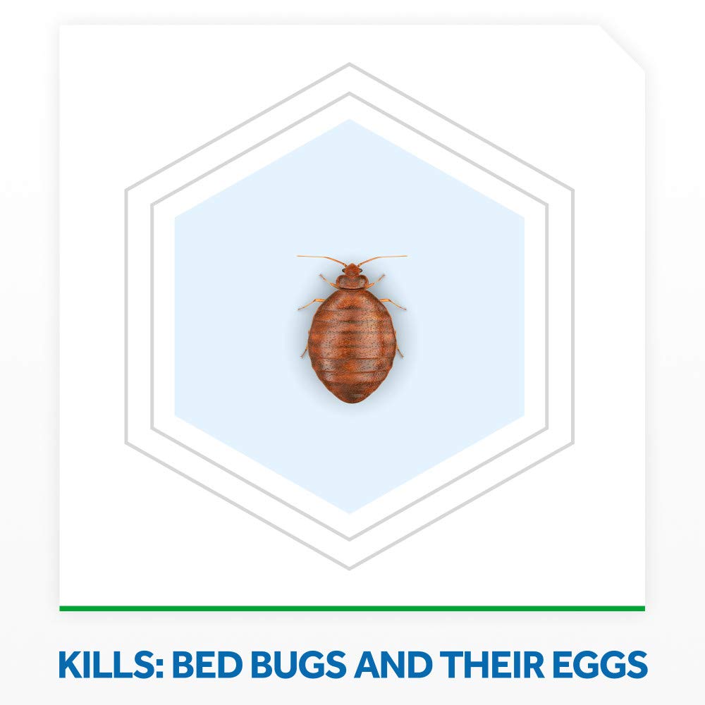 RAID BED BUG SPRAY CONTROL BED BUG
