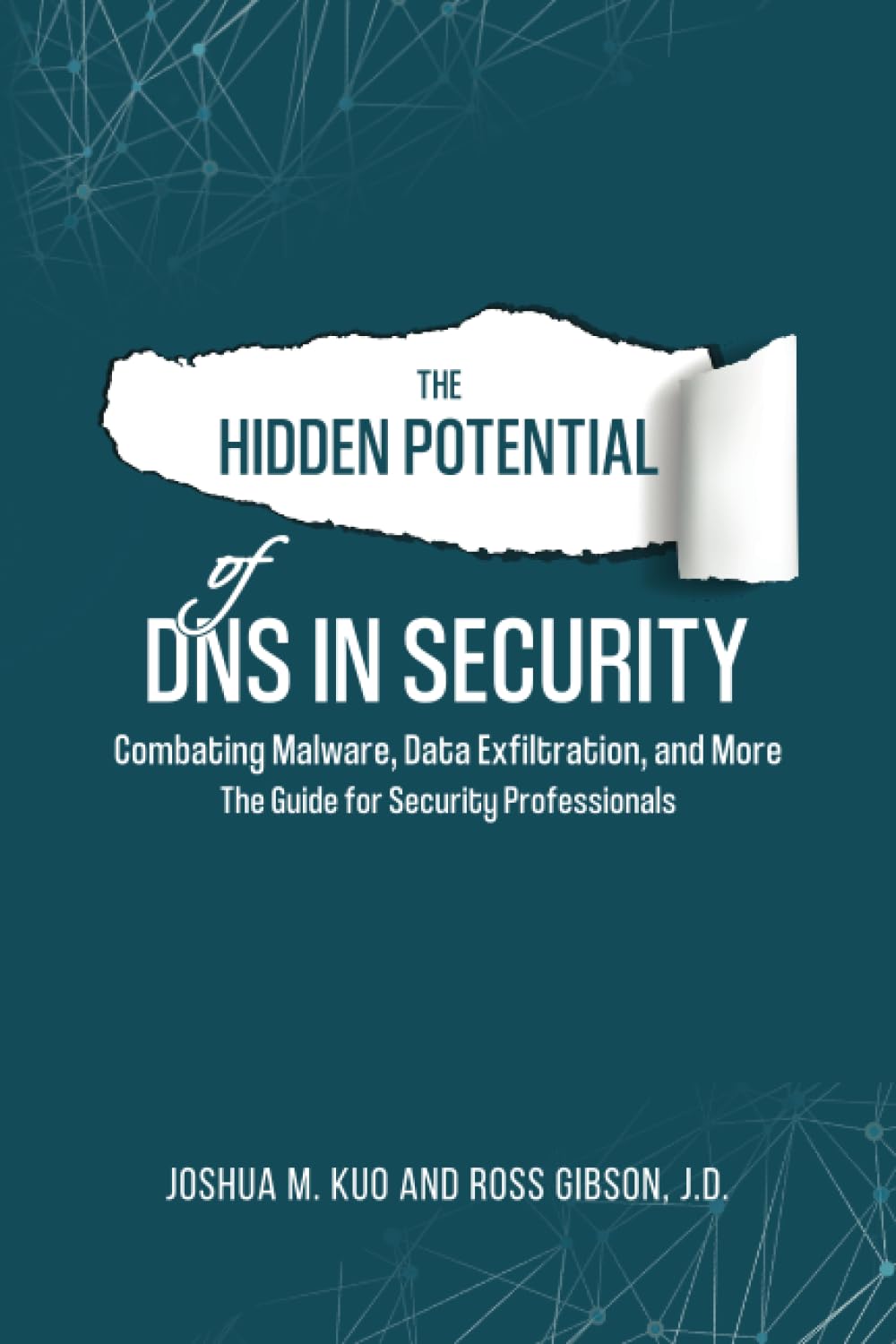 The Hidden Potential of DNS In Security Combating Malware, Data