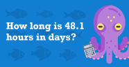 How Many Days Is 48 Hours Fiktif