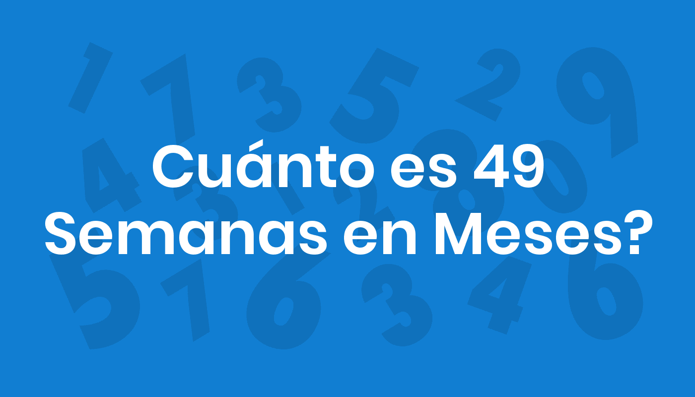 Cuánto Es 49 Semanas En Meses? ConviertoYa