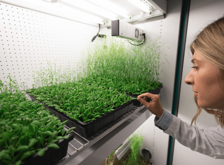 Plant growth chamber Conviron