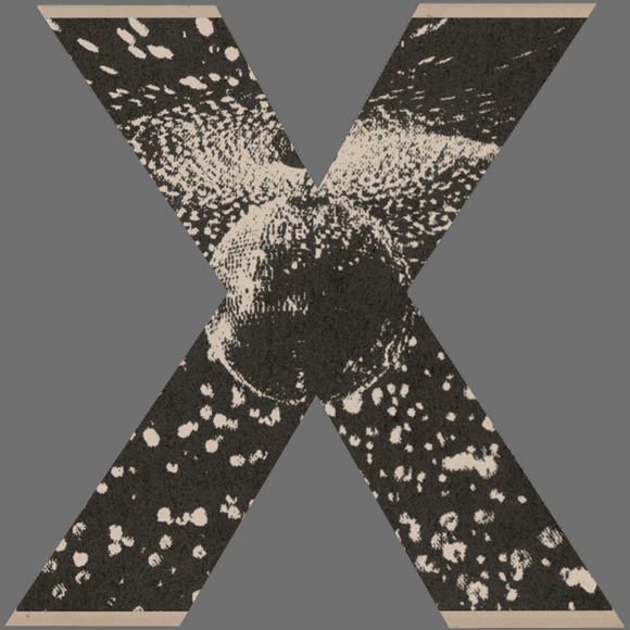 Mirror Ball van Neil Young is vooral een samenwerking uit 1995 met Pearl Jam