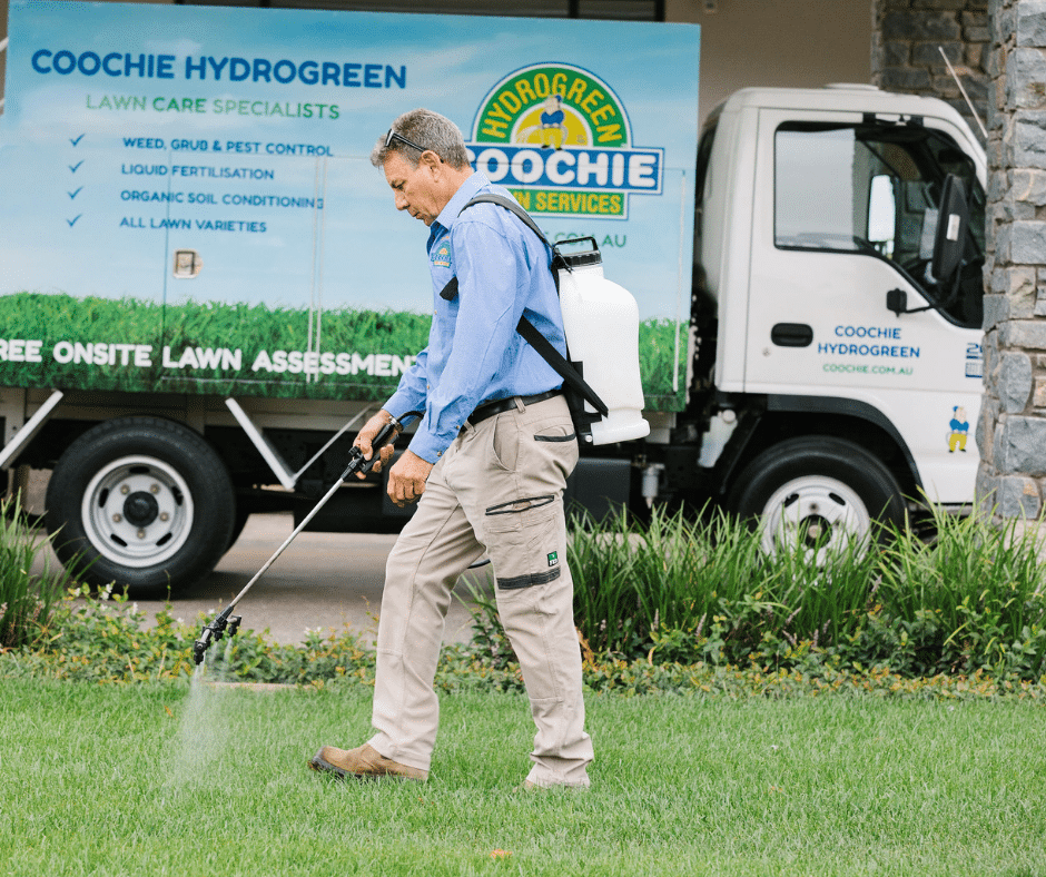 Benefits of Professional Lawn Grubs Treatment Coochie
