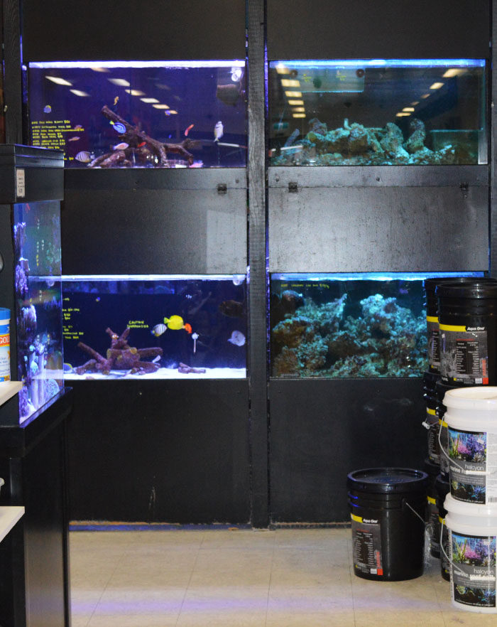 Hobart Pet Centre Coogans Finance