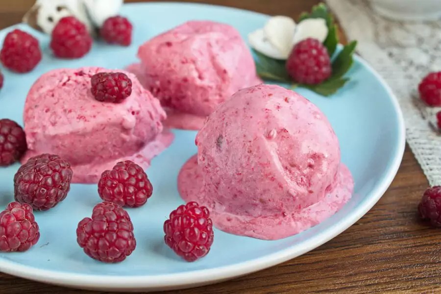 Healthy Raspberry Frozen Yogurt Recipe Cook.me Recipes