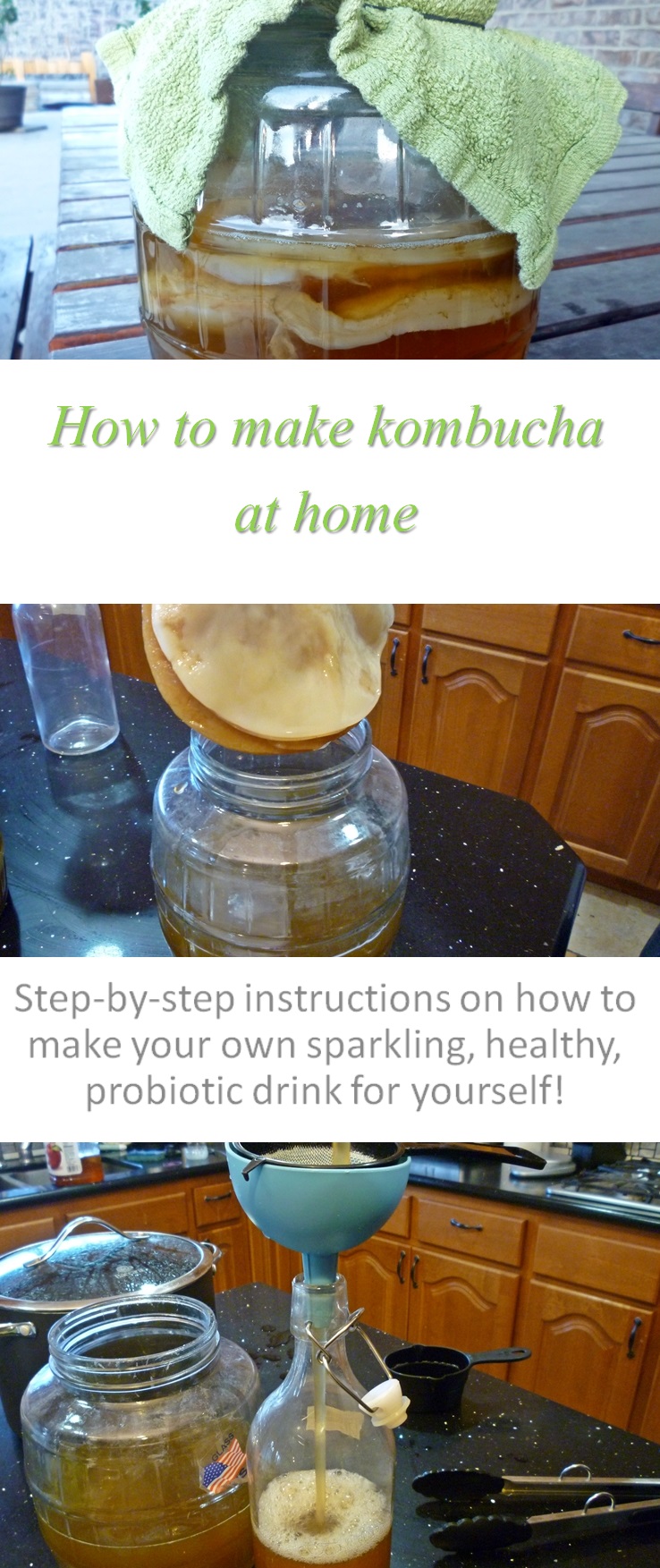 Cook at home How to make kombucha at home