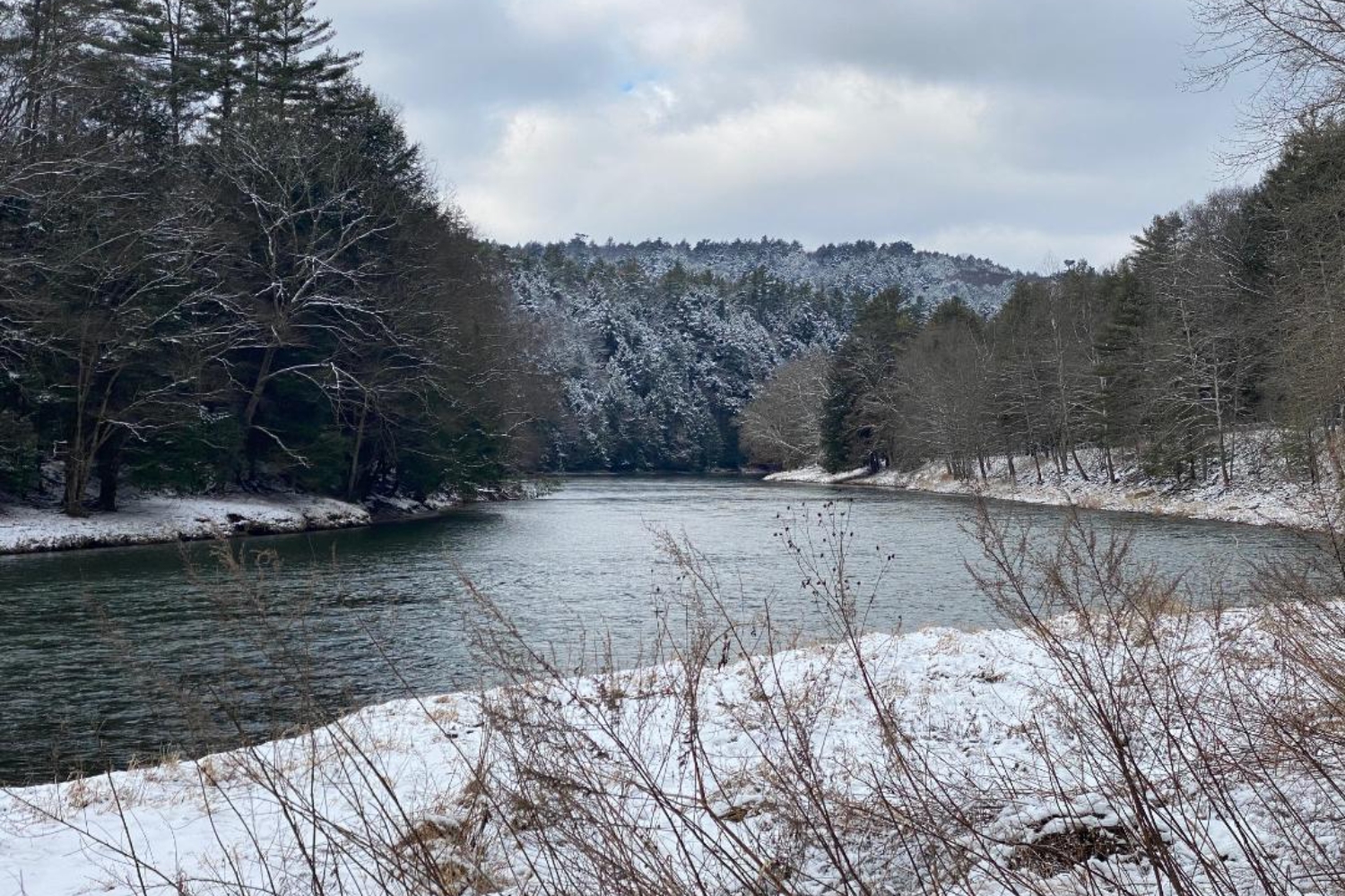 DCNR to Celebrate New Year With Cook Forest Hike as Part of Nearly 60