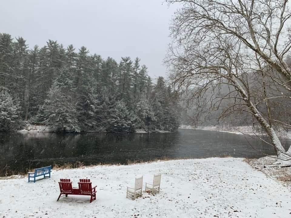 Cook Forest Photo of the Day