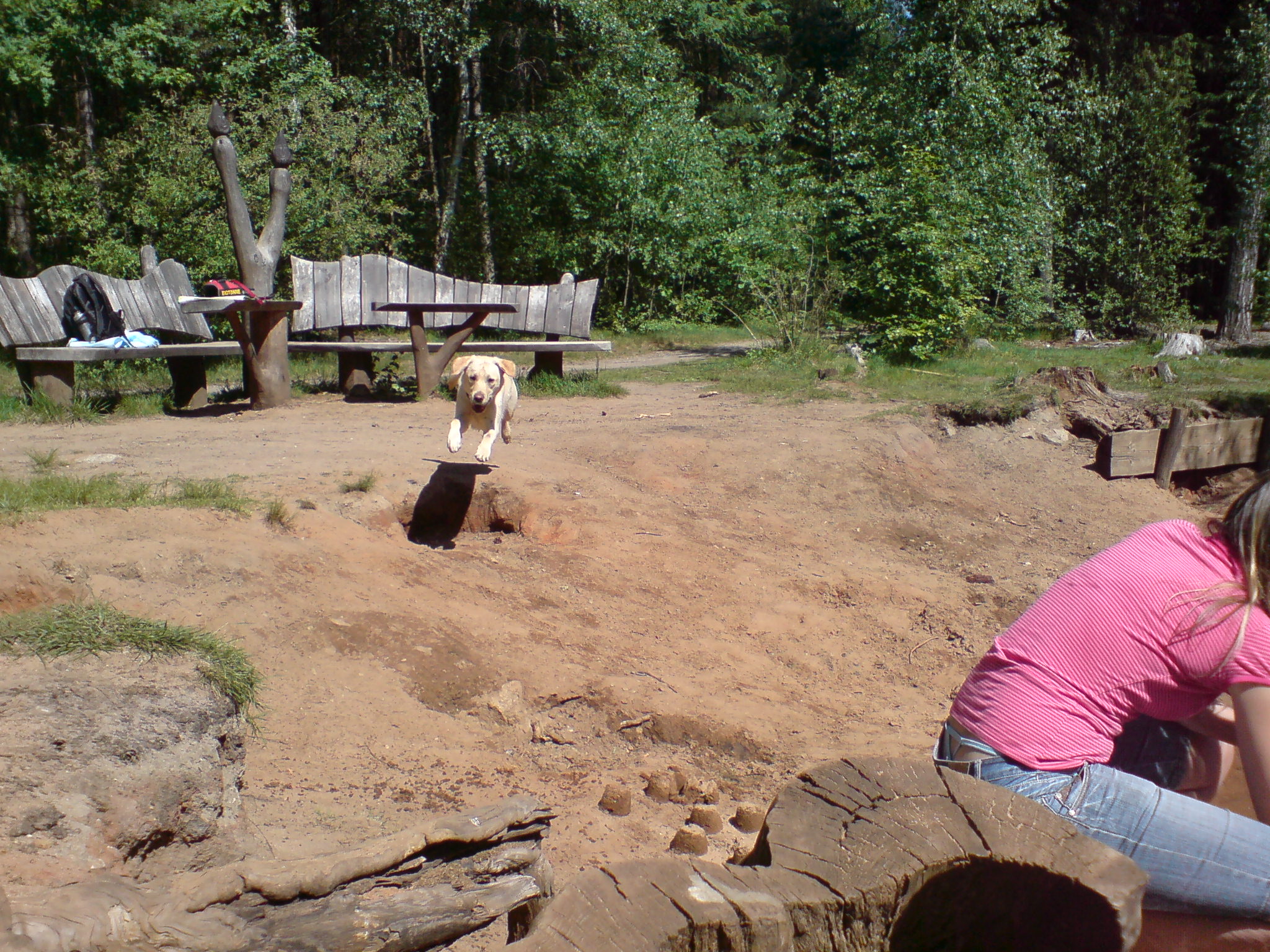 Dresdner Heide Wandern Mit Kindern Wandern in der Dresdner Heide Cookie Wie aus einem Krümel ein Keks wird!