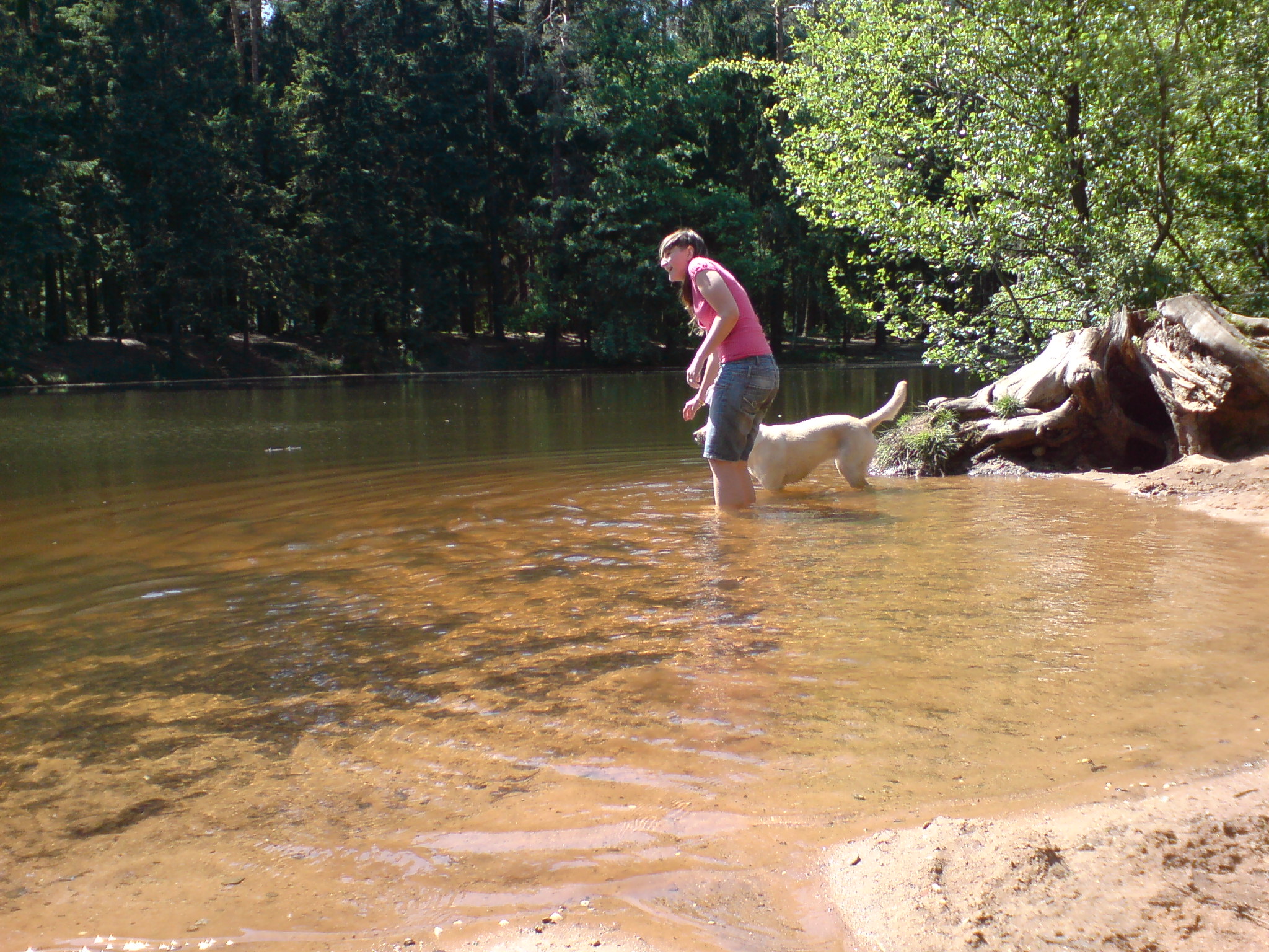 Dresdner Heide Wandern Mit Kindern Wandern in der Dresdner Heide Cookie Wie aus einem Krümel ein Keks wird!