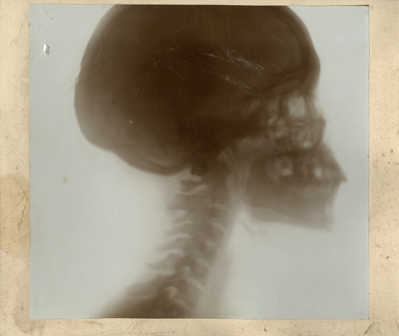 Cookie House Family History … ster, Prevo, Munson, Stallforth