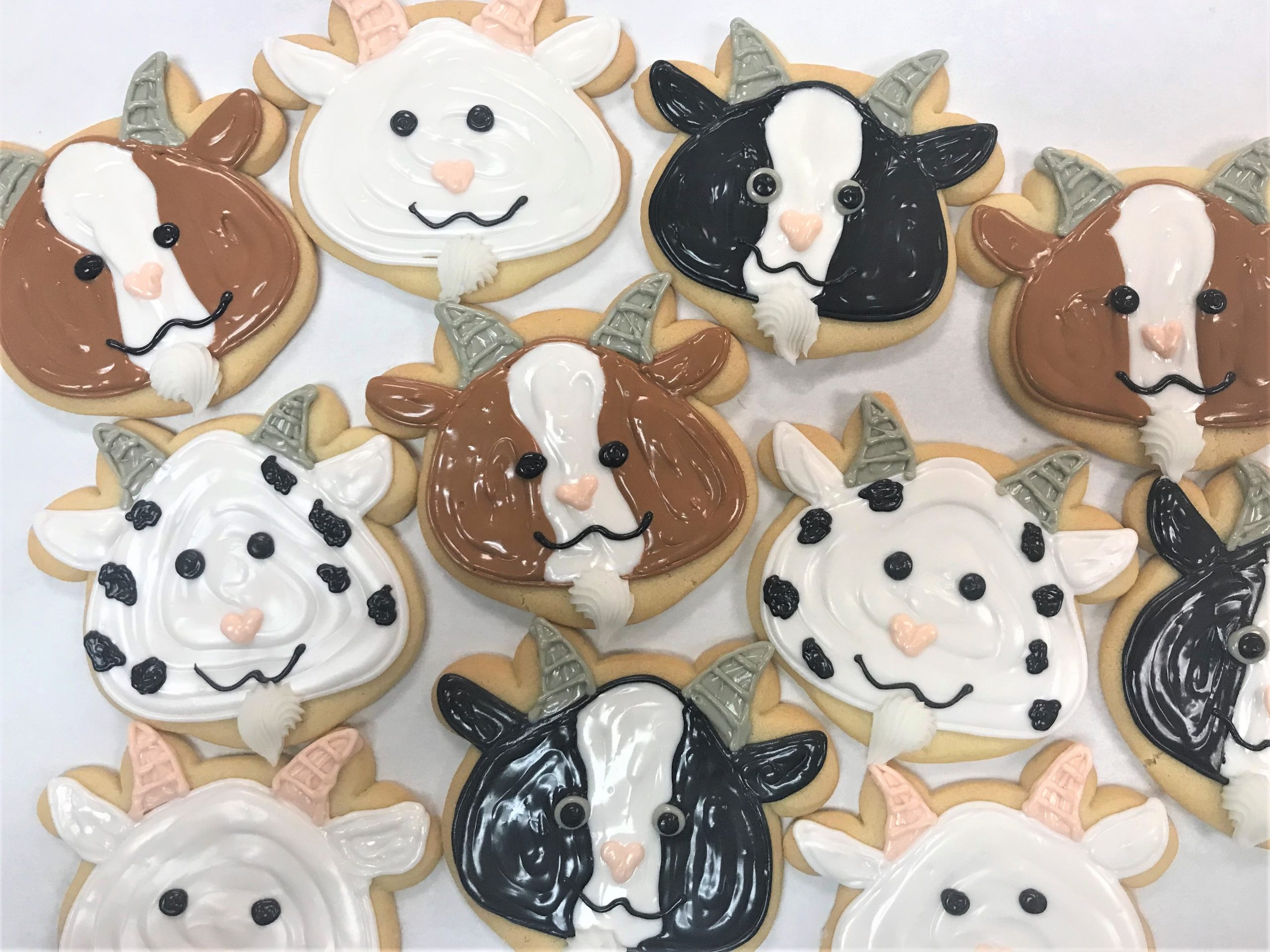 Goat Cookies Cookies for You