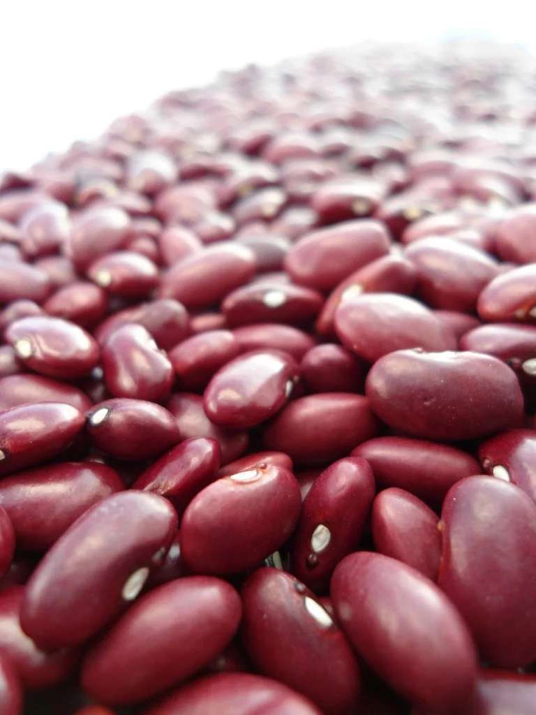 Cooking Kidney Beans Delicious Recipes and Culinary Ideas