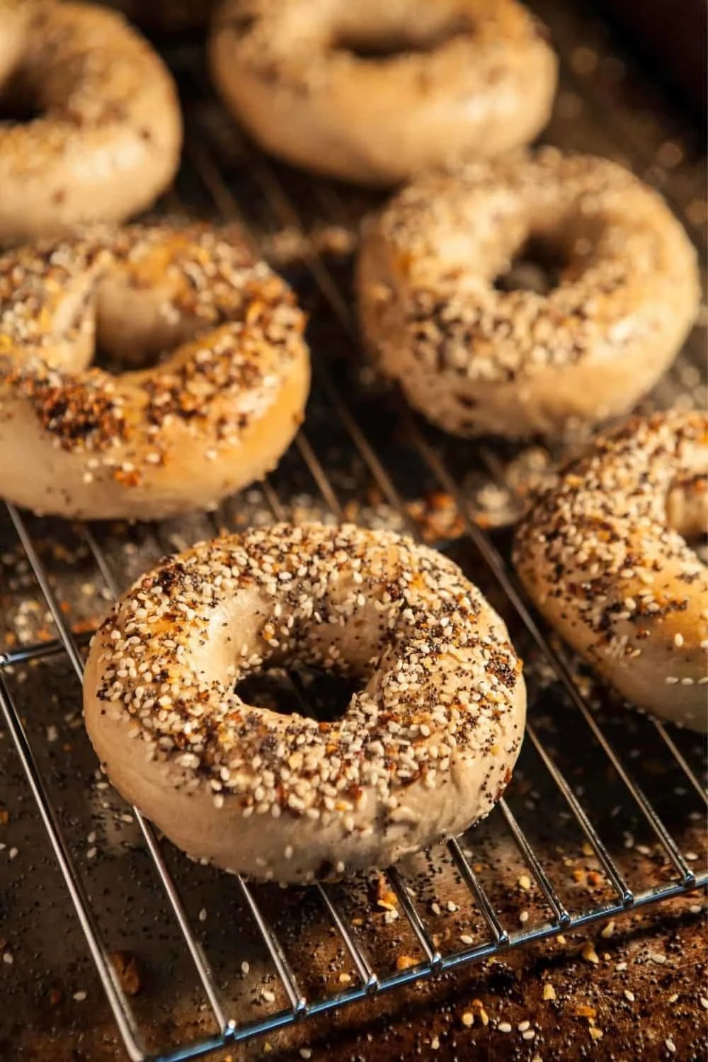How to toast a bagel in the oven