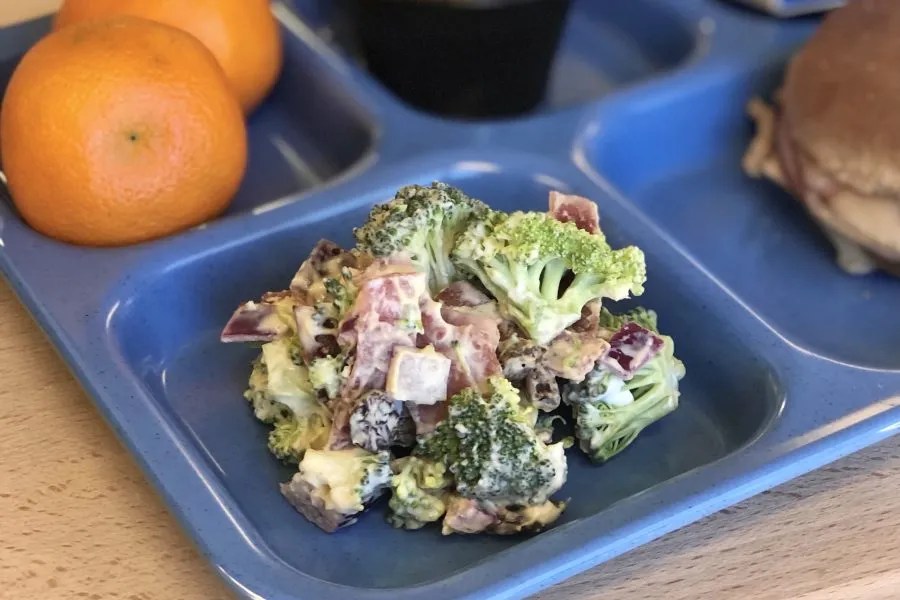 Broccoli Salad Cooking for kids