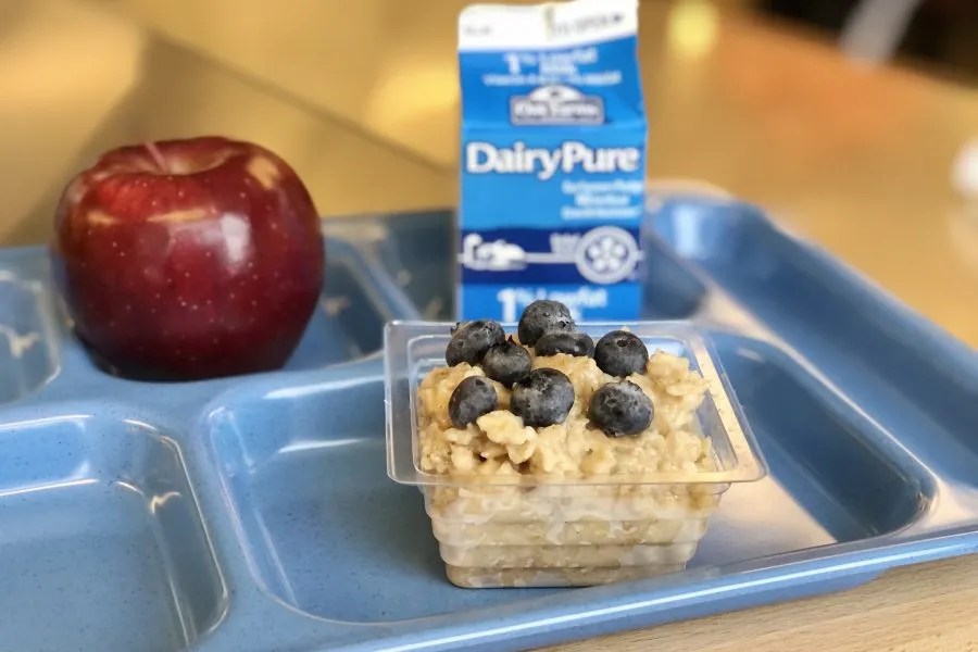 Oatmeal Cooking for kids