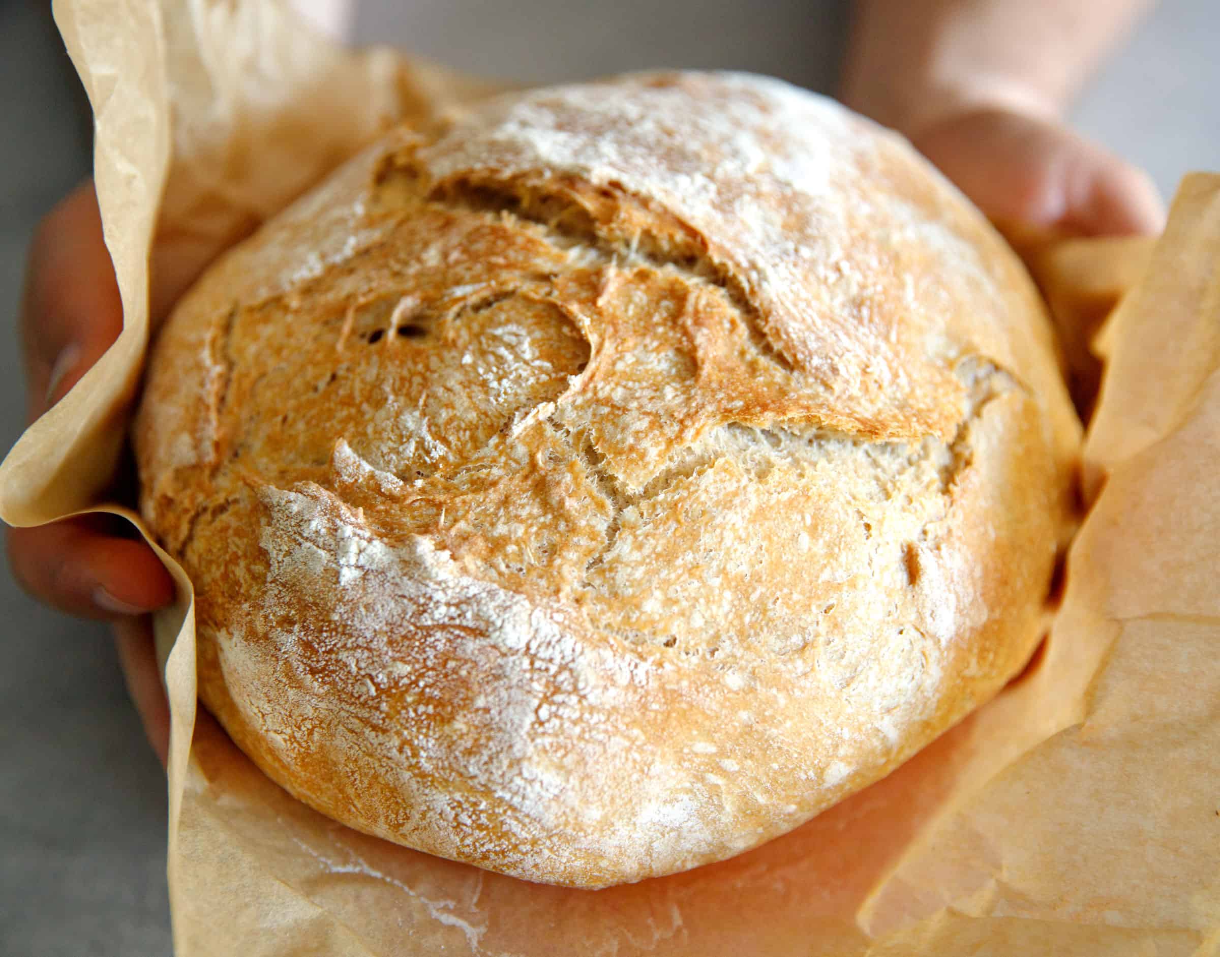 Quick No Knead Bread In Dutch Oven Cooking LSL