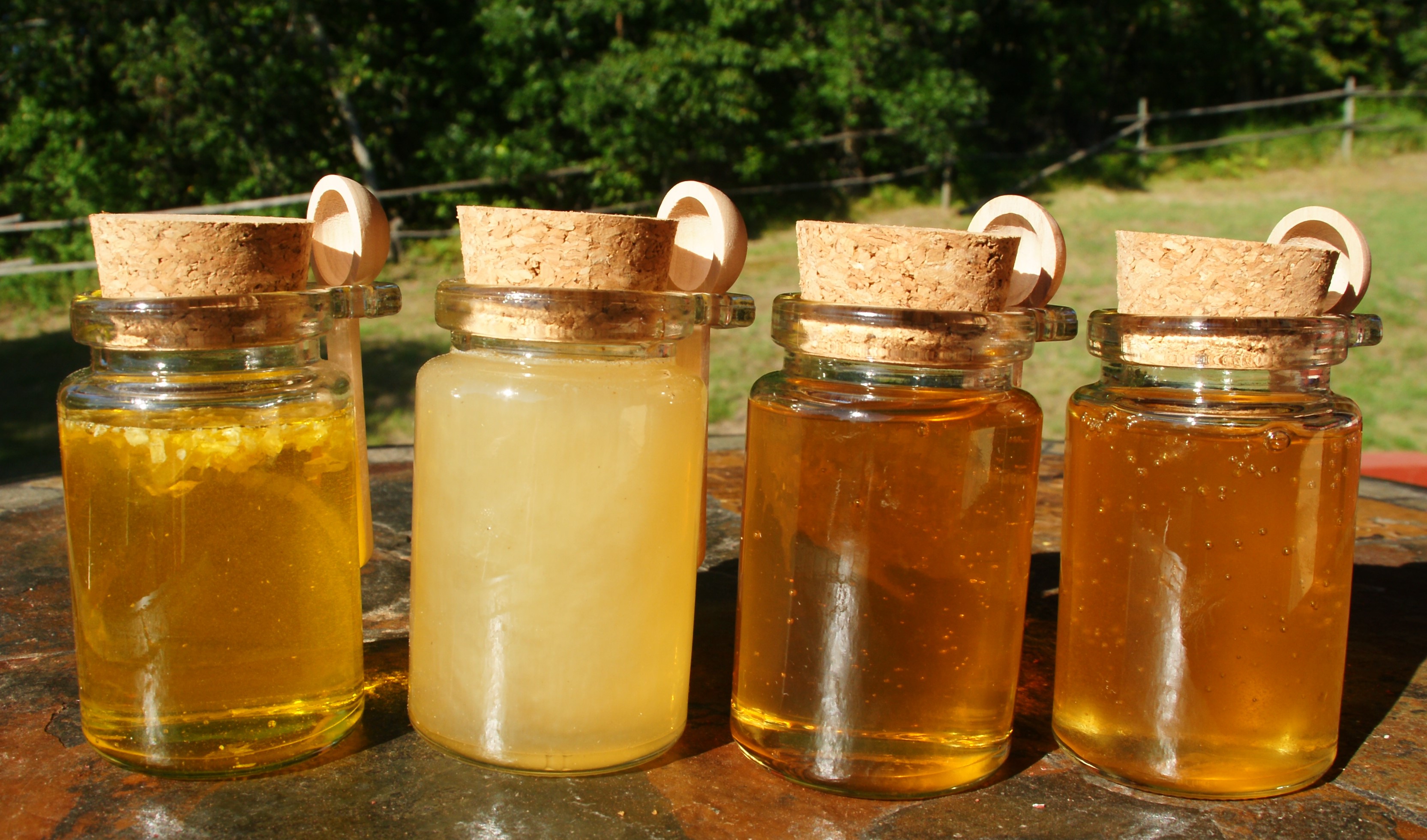 Turning Lavender and Sweet Clover to Honey Cooking With Jacque