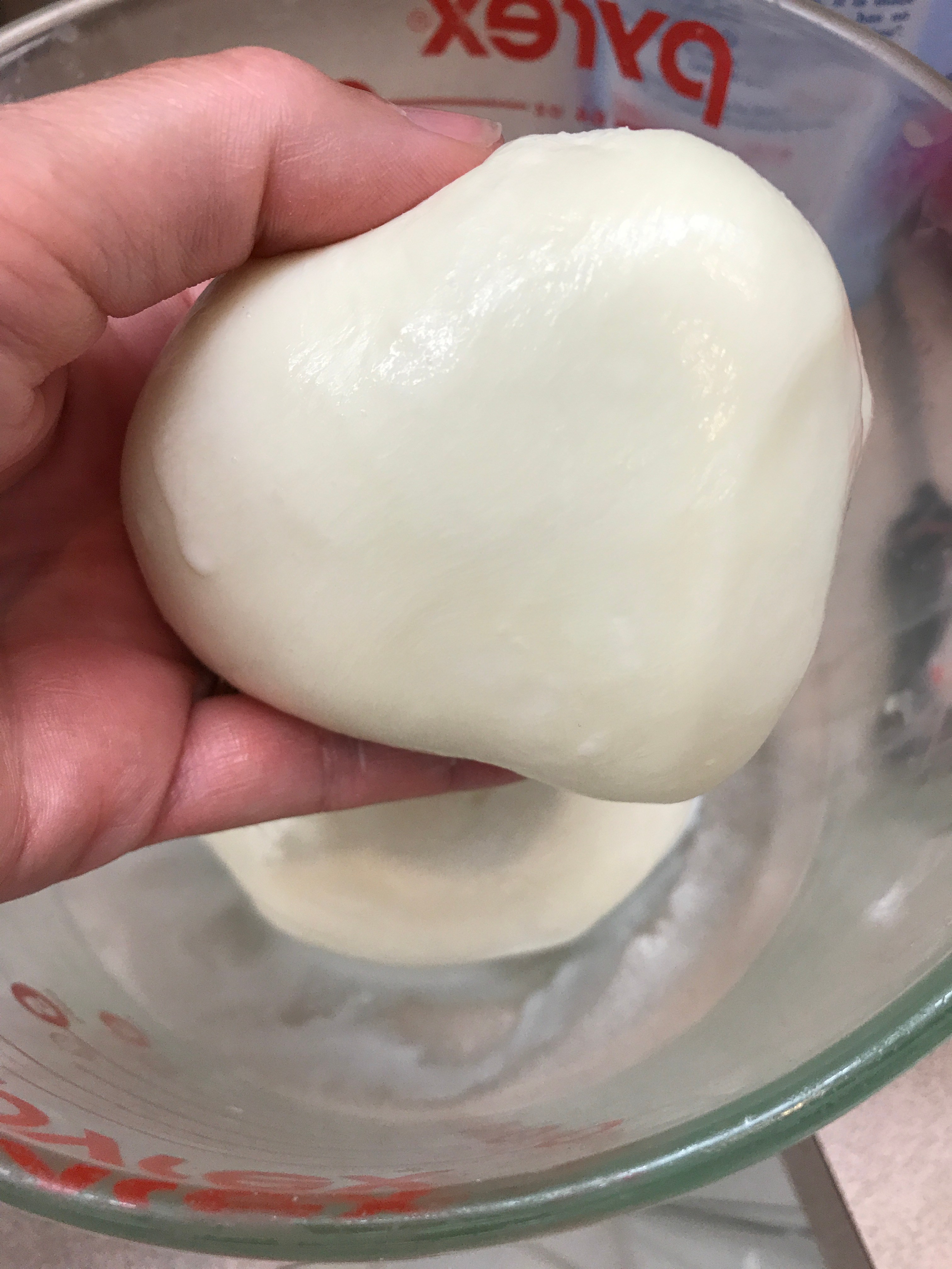 Homemade Mozzarella Cheese Cooking With Jacque
