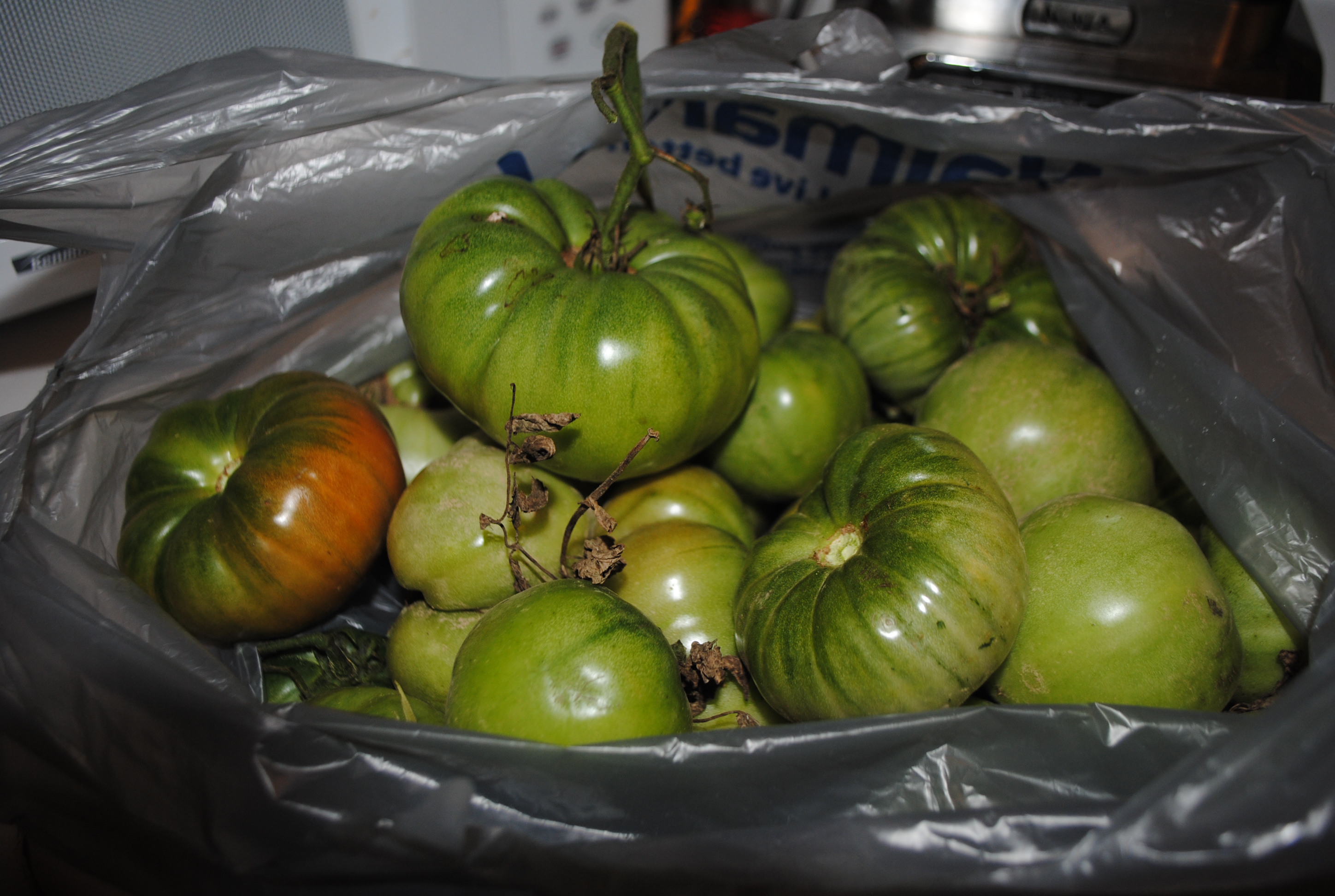 CANNED GREEN TOMATOES