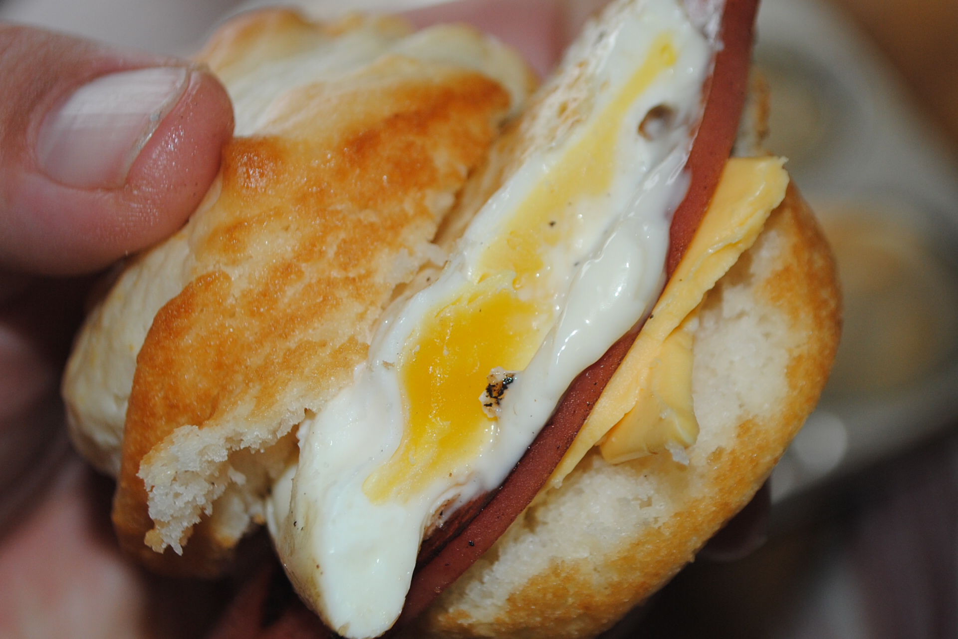 FRIED BOLOGNA EGG N’ CHEESE BISCUITS