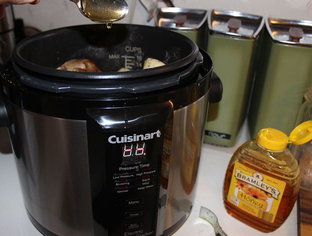 Cuisinart Electric Pressure Cooker Recipes Pork Roast Dandk Organizer