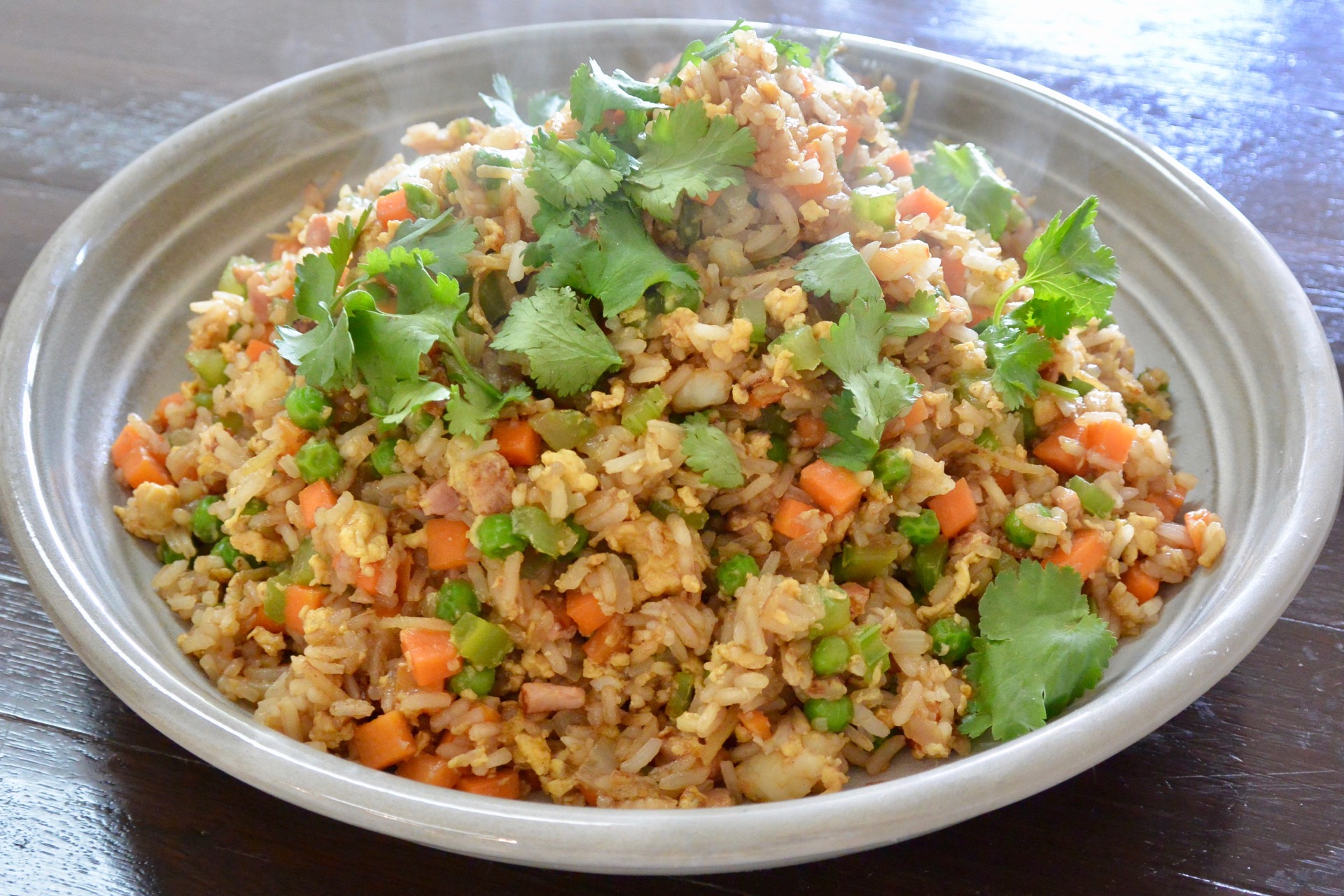 CWS02603 Fried Rice Cooking With Steam Combi Steam Oven Recipes