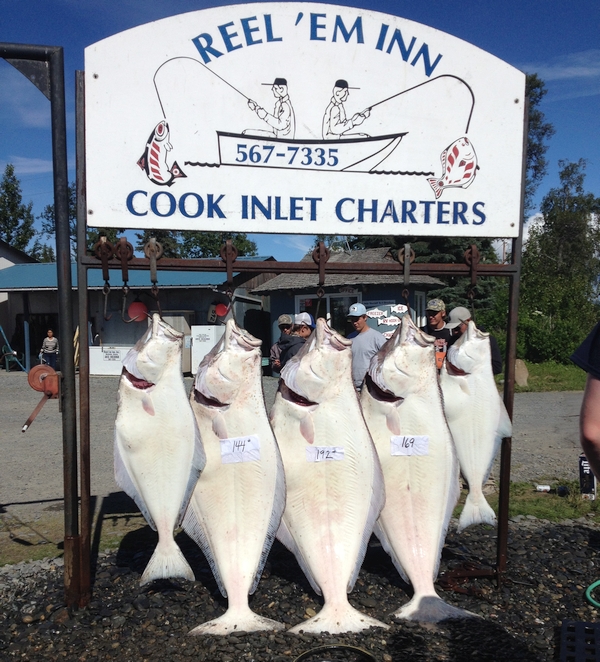 Ninilchik Halibut Charters Alaska Reel 'Em Inn