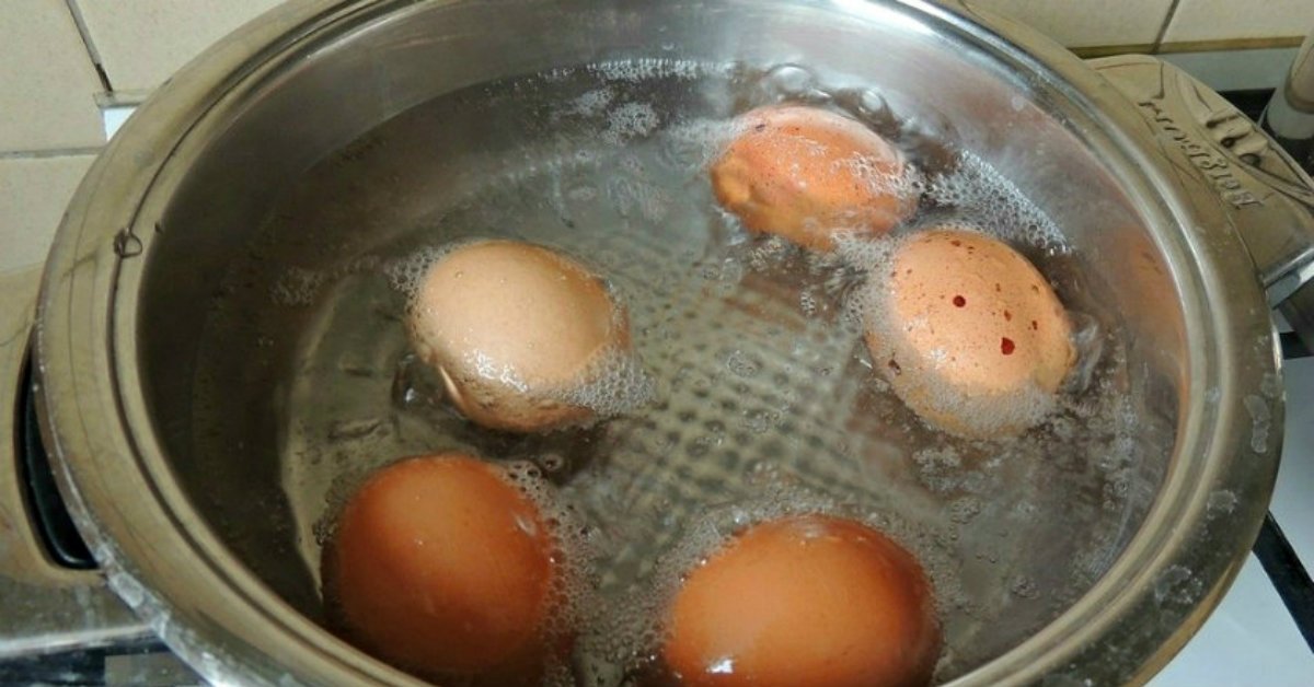 Egg Water for Plants Cook It
