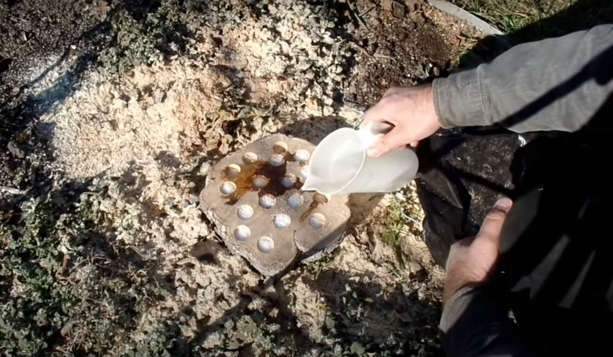 How To Remove a Tree Stump Cook It