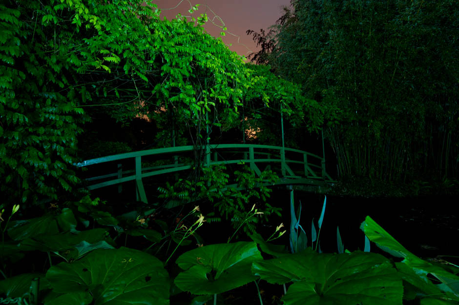 NIGHT GARDENS Cook Jenshel Photography