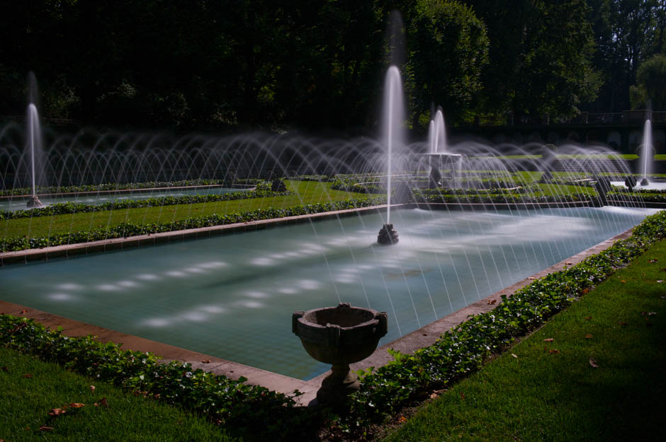 NIGHT GARDENS Cook Jenshel Photography