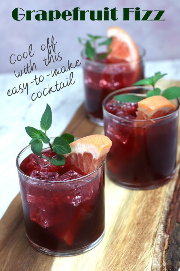 Grapefruit Fizz Plant Based Recipes for Toddlers Drinks