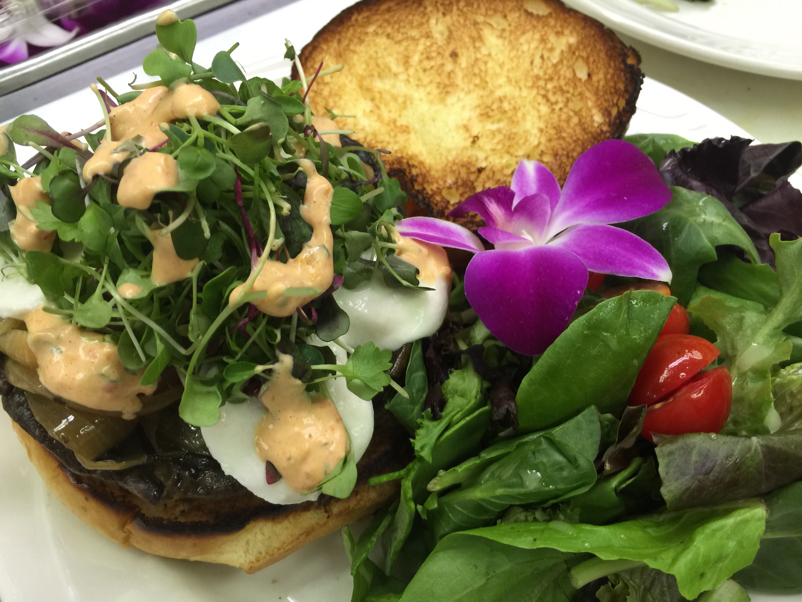 Grilled Portobello Sandwich Cooks and EatsCooks and Eats