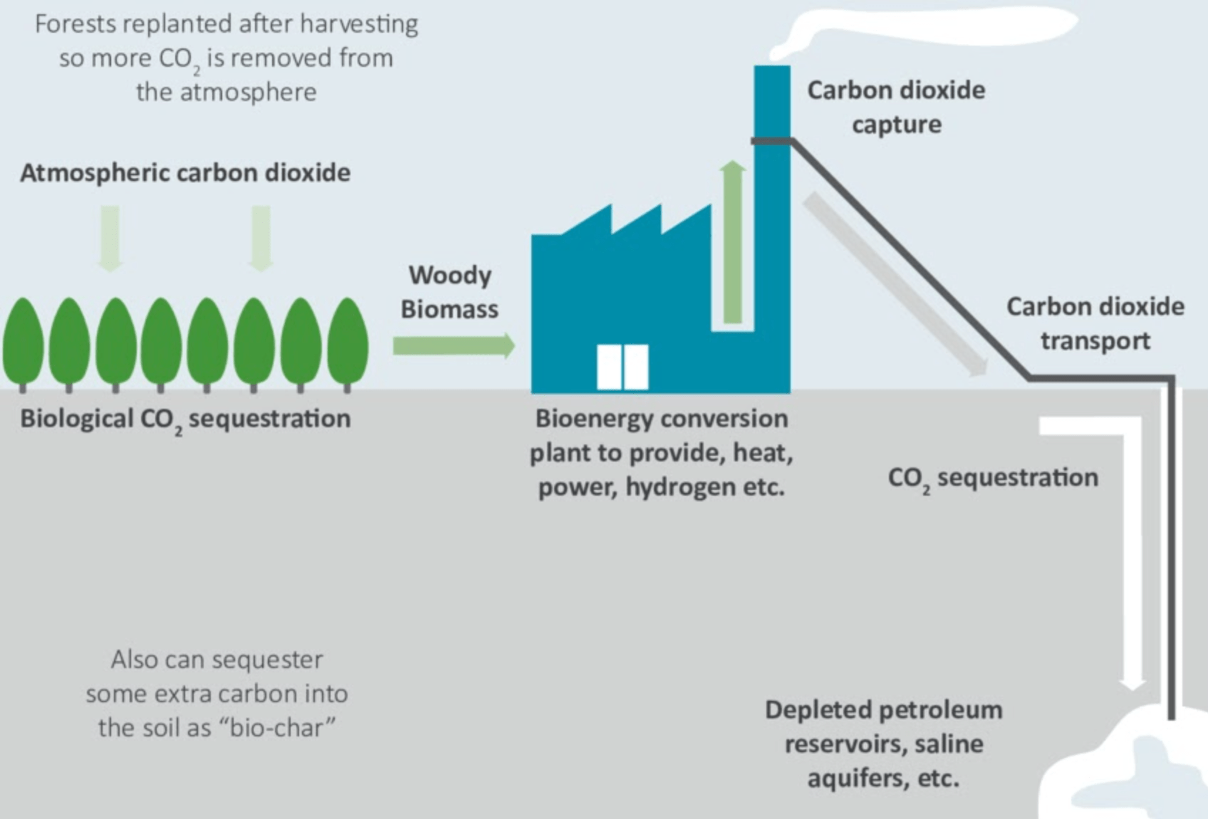 Bioenergy with carbon capture and storage