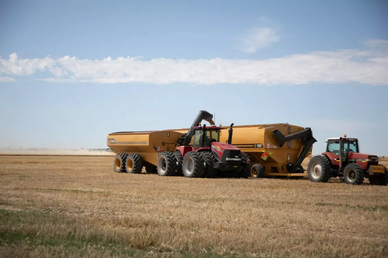 Chaser Bin 36T20 Coolamon Chaser Bins