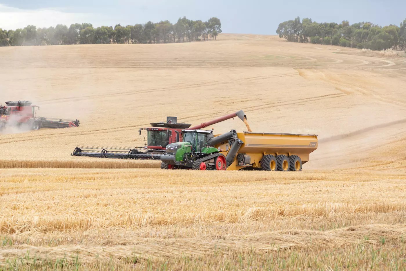 Chaser Bin 45T24 Coolamon Chaser Bins