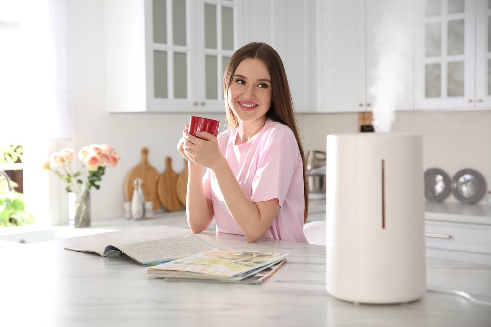 Best Affordable Air Purifier for The Home Top Picks, Reviews & Buying