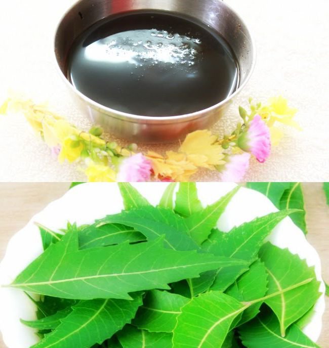 10 Health Benefits of Neem leaves. dope mom 1