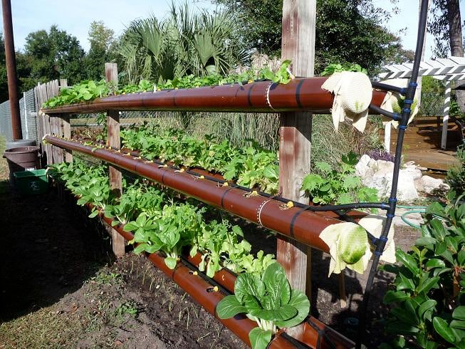 DIY Hydroponic Garden Tower Using PVC Pipes
