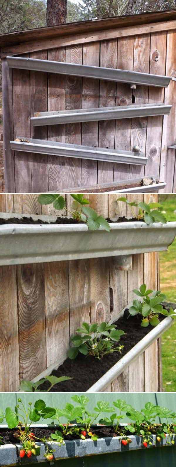 grow vertical strawberry garden in 10 diy ways